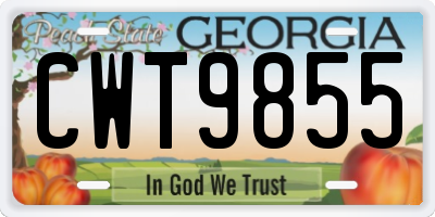 GA license plate CWT9855