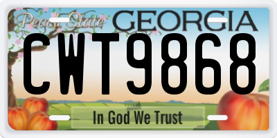 GA license plate CWT9868