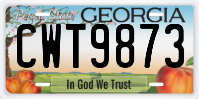 GA license plate CWT9873