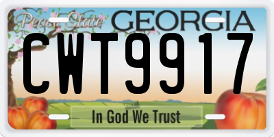 GA license plate CWT9917