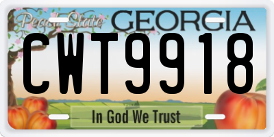 GA license plate CWT9918