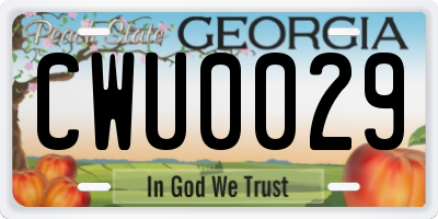 GA license plate CWU0029