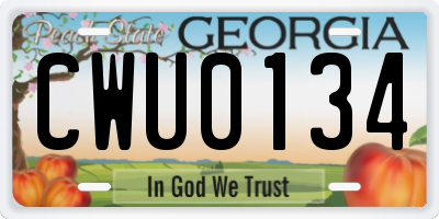 GA license plate CWU0134