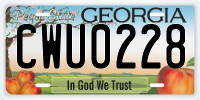GA license plate CWU0228