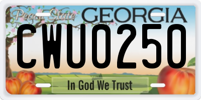 GA license plate CWU0250