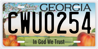 GA license plate CWU0254