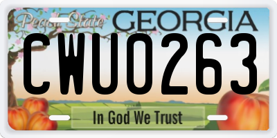 GA license plate CWU0263