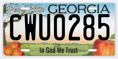GA license plate CWU0285