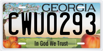 GA license plate CWU0293
