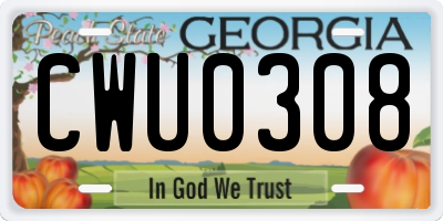GA license plate CWU0308