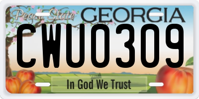 GA license plate CWU0309