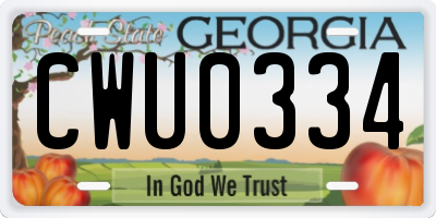 GA license plate CWU0334