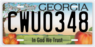 GA license plate CWU0348