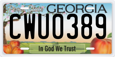 GA license plate CWU0389