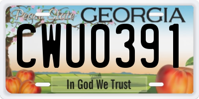 GA license plate CWU0391
