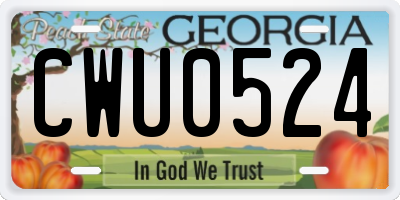 GA license plate CWU0524