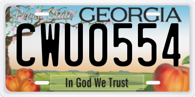 GA license plate CWU0554