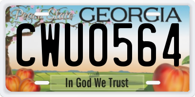 GA license plate CWU0564