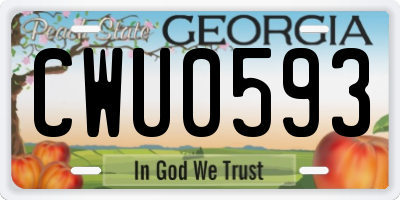 GA license plate CWU0593