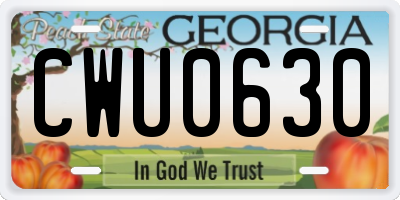 GA license plate CWU0630