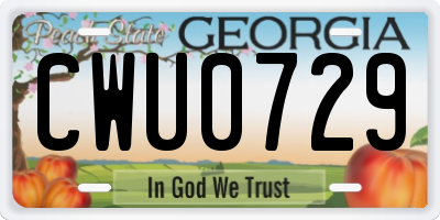 GA license plate CWU0729