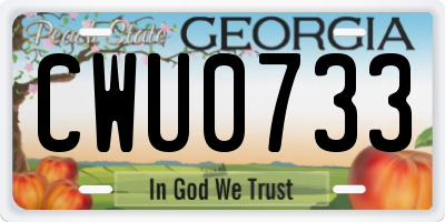 GA license plate CWU0733
