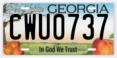 GA license plate CWU0737