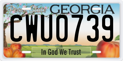 GA license plate CWU0739
