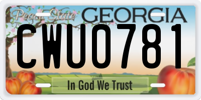 GA license plate CWU0781