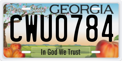 GA license plate CWU0784