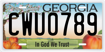GA license plate CWU0789