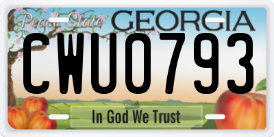 GA license plate CWU0793