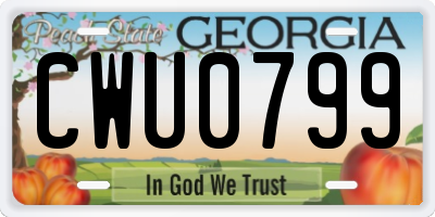 GA license plate CWU0799
