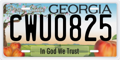 GA license plate CWU0825