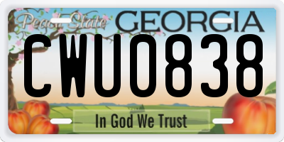 GA license plate CWU0838