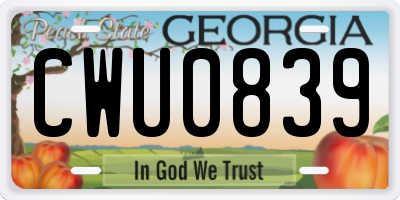 GA license plate CWU0839