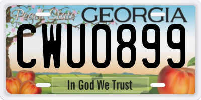 GA license plate CWU0899