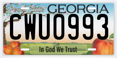 GA license plate CWU0993
