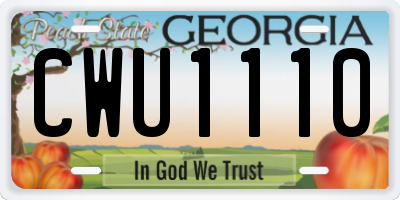 GA license plate CWU1110