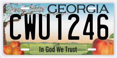 GA license plate CWU1246