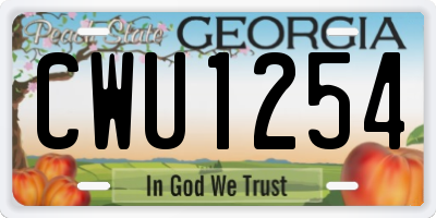 GA license plate CWU1254