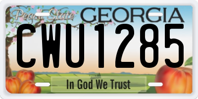GA license plate CWU1285