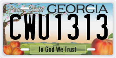GA license plate CWU1313