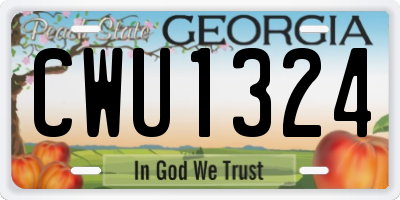 GA license plate CWU1324