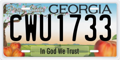 GA license plate CWU1733