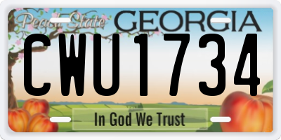 GA license plate CWU1734