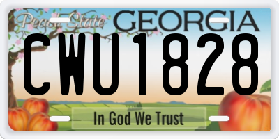 GA license plate CWU1828