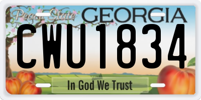 GA license plate CWU1834
