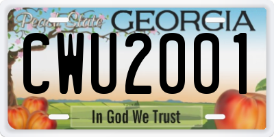 GA license plate CWU2001