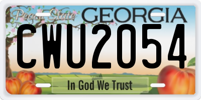 GA license plate CWU2054